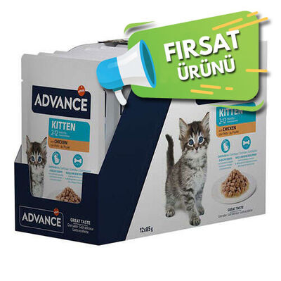 Advance Kitten Chicken Tavuk Etli Yavru Kedi Yaş Maması 85 Gr x 12 Adet