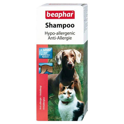 Beaphar 015290 Anti-Allergenic Kedi ve Köpek Şampuanı 200 ML