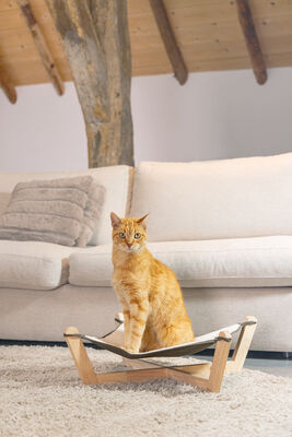 Beeztees DBL Kedi Hamağı, Gri, 51x51x18,5cm