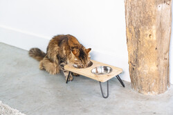Beeztees DBL Kedi İkili Mama ve Su Kabı, Paslanmaz Çelik, Beyaz, 31x16x10cm, 2x350ml - Thumbnail