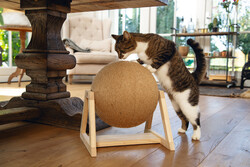 Beeztees DBL Kedi Tırmalama, 34x30x35,5cm - Thumbnail