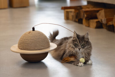 Beeztees DBL Kedi Tırmalama ve Oyuncağı, 29,5x29,5x20cm