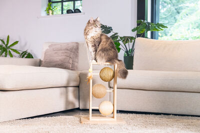 Beeztees DBL Kedi Tırmalama ve Oyuncağı, 34,5x29,5x50cm