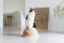 Beeztees DBL Kedi Tırmalama ve Oyuncağı, 34,5x34,5x18cm - Thumbnail