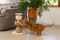 Beeztees DBL Kedi Tırmalama ve Oyuncağı, 34x34x47,5cm - Thumbnail
