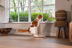 Beeztees DBL Kedi Tırmalama ve Oyuncağı, Kahverengi, 39,5x39,5x62cm - Thumbnail
