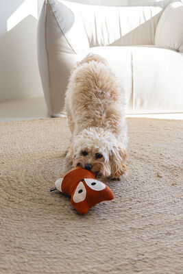 Beeztees DBL Köpek Oyuncağı, Sesli, Tilki, Peluş, Turuncu, 25,5cm