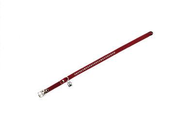 Beeztees Kedi Boyun Tasması, Swarovski Taşlı, Kırmızı, 24,5-30cm