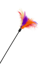 Beeztees - Beeztees Kedi Oltası, Tüylü Uc-12cm, 45cm