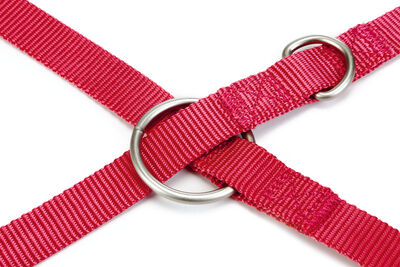 Beeztees Köpek Gezdirme Kayışı, Pembe, 200cm, 20mm
