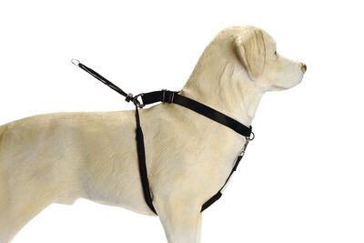 Beeztees Köpek Yürüyüş Eğitim ve Düzeltme Tasması, S