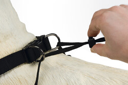 Beeztees Köpek Yürüyüş Eğitim ve Düzeltme Tasması, XL - Thumbnail