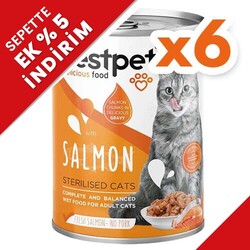 Bestpet - Bestpet Gravy Sterilised Parça Somonlu Kısır Kedi Konservesi 400 Gr x 6 Adet