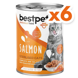 Bestpet - Bestpet Gravy Sterilised Parça Somonlu Kısır Kedi Konservesi 400 Gr x 6 Adet