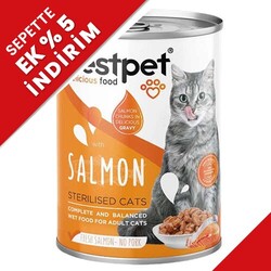 Bestpet - Bestpet Gravy Sterilised Parça Somonlu Kısır Kedi Konservesi 400 Gr