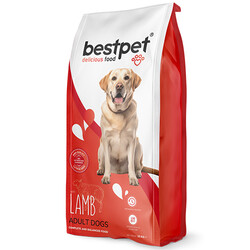 Bestpet - Bestpet Lamb Kuzu Etli Yetişkin Köpek Maması 15 Kg