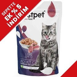 Bestpet - Bestpet Pouch Jelly Kuzu Etli Kedi Yaş Maması 85 Gr