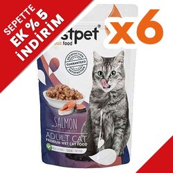 Bestpet - Bestpet Pouch Jelly Somon Balıklı Kedi Yaş Maması 85 Gr x 6 Adet