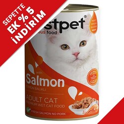 Bestpet Gravy Parça Somonlu Kedi Konservesi 400 Gr - Thumbnail