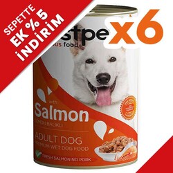 Bestpet - Bestpet Somonlu Parça Etli ve Soslu Köpek Konservesi 400 Gr x 6 Adet