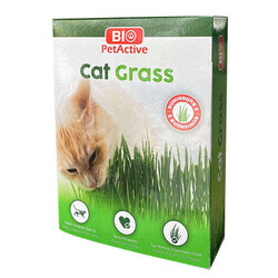 Bio Pet Active - Bio Pet Active Cat Grass Kedi Çimi