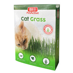 Bio Pet Active - Bio Pet Active Grass Kit Naturel Kedi Çimi