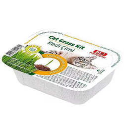 Bio Pet Active - Bio Pet Active Grass Kit Naturel Kedi Çimi