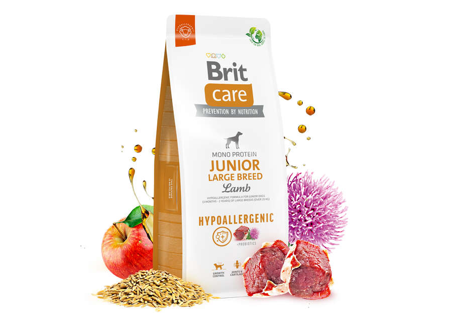 Brit care junior large hotsell breed lamb & rice