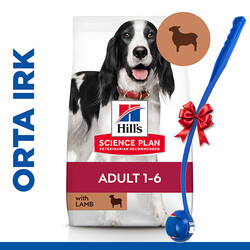 Hills - Hills Medium Kuzulu Yetişkin Köpek Maması 14 Kg + Top Fırlatıcı Oyuncak