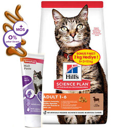 Hills - Hill's Lamb Kuzulu Yetişkin Kedi Maması 8+2 Kg (Toplam 10 Kg) + Beaphar Hairball Paste 100 Gr