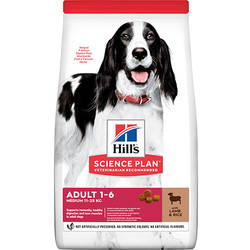 Hills - Hills Lamb Kuzulu Yetişkin Köpek Maması 2,5 Kg