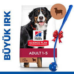 Hills - Hills Large Breed İri Irk Kuzulu Köpek Maması 14 Kg + Top Fırlatıcı Oyuncak