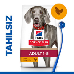 Hills - Hills No Grain Large Tavuklu Tahılsız Büyük Irk Köpek Maması 12 Kg + Top Fırlatıcı Oyuncak