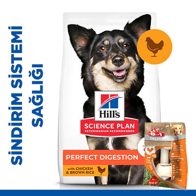 Hill's Perfect Digestion Tavuk ve Pirinçli Küçük Irk Köpek Maması 1,5 Kg + 8in1 Köpek Ödül Kemiği