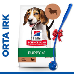 Hills - Hills Puppy Kuzulu Yavru Köpek Maması 14 Kg + Top Fırlatıcı Oyuncak