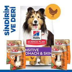 Hills Sensitive Stomach Skin Tavuklu Yetişkin Köpek Maması 14 Kg + 4 Adet 8in1 Köpek Ödül Kemiği - Thumbnail