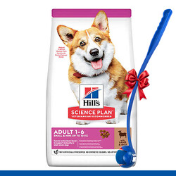 Hills - Hills Small & Miniature Küçük Irk Kuzulu Köpek Maması 6 Kg + Top Fırlatıcı Oyuncak