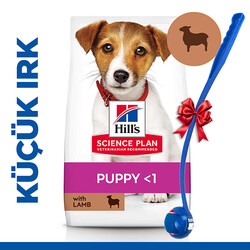 Hills - Hills Small & Miniature Puppy Küçük Irk Kuzulu Yavru Köpek Maması 6 Kg + Top Fırlatıcı Oyuncak