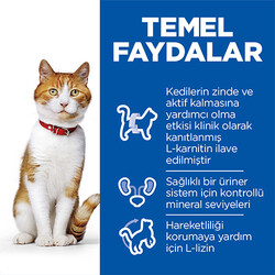 Hills Sterilised Kısırlaştırılmış Somonlu Kedi Maması 10 Kg - Thumbnail