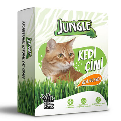 Jungle Özel Gübreli Kedi Çimi Kutulu ( Fileli )