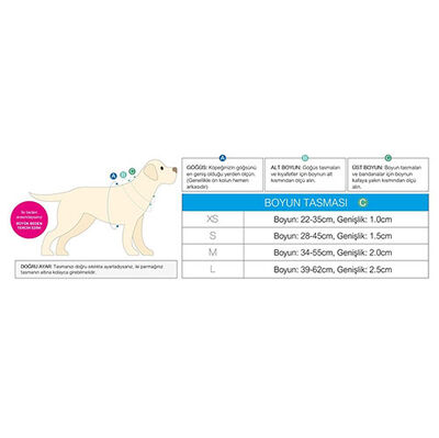 Max Molly Donuts Smart ID Köpek Boyun Tasması Medium