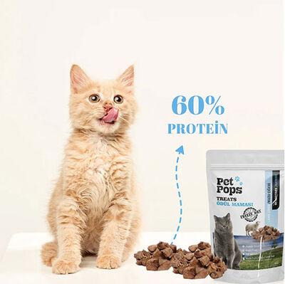 Pet Pops Freeze Dry Kuzu Ciğeri Kedi Ödülü 40 Gr