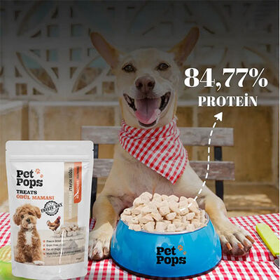 Pet Pops Freeze Dry Tavuk Göğüsü Köpek Ödülü 40 Gr