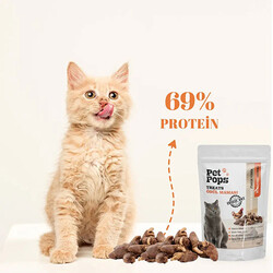 Pet Pops Freeze Dry Tavuk ve Yürekli Kedi Ödülü 40 Gr - Thumbnail