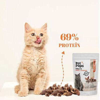 Pet Pops Freeze Dry Tavuk ve Yürekli Kedi Ödülü 40 Gr
