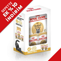 Royal Canin - Royal Canin BOX British Shorthair Kedi Maması 2 Kg + 2 Adet Royal Canin Yaş Mama