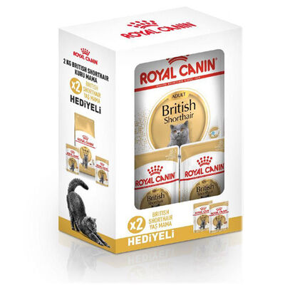 Royal Canin BOX British Shorthair Kedi Maması 2 Kg + 2 Adet Royal Canin Yaş Mama