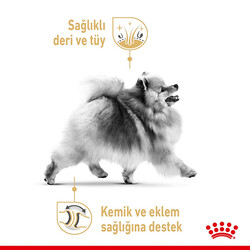 Royal Canin BOX Pomeranian Köpek Irk Maması 1,5 Kg + 2 Adet Royal Canin Pomeranian 85 Gr Yaş Mama - Thumbnail