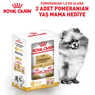 Royal Canin BOX Pomeranian Köpek Irk Maması 1,5 Kg + 2 Adet Royal Canin Pomeranian 85 Gr Yaş Mama