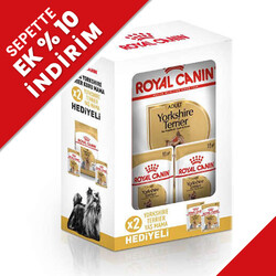 Royal Canin - Royal Canin BOX Yorkshire Terrier Köpek Maması 1,5 Kg + 2 Adet Royal Canin Yaş Mama